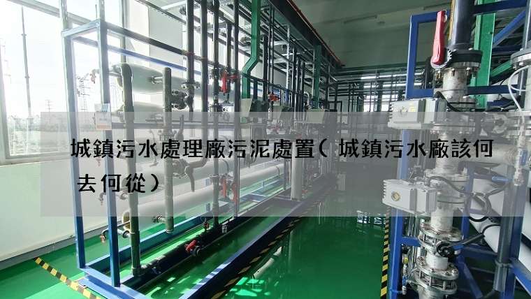 城鎮污水處理廠污泥處置(城鎮污水廠該何去何從)